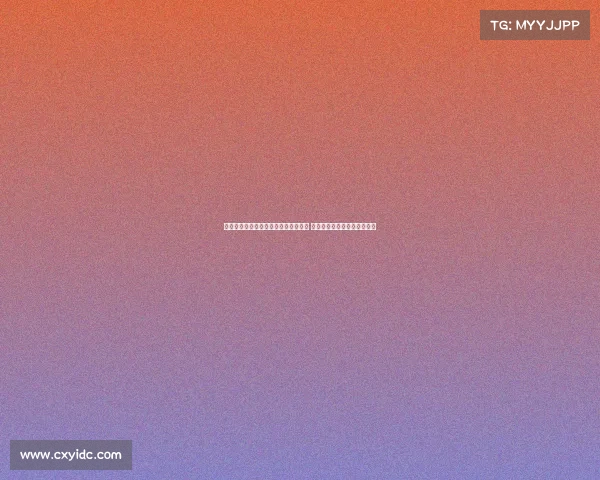 申京欧洲杯爆发背后：特训训练师助力 休赛期投射训练打造信心提升